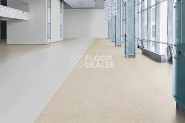 Линолеум Marmoleum Decibel 313635 concrete фото 1 | FLOORDEALER